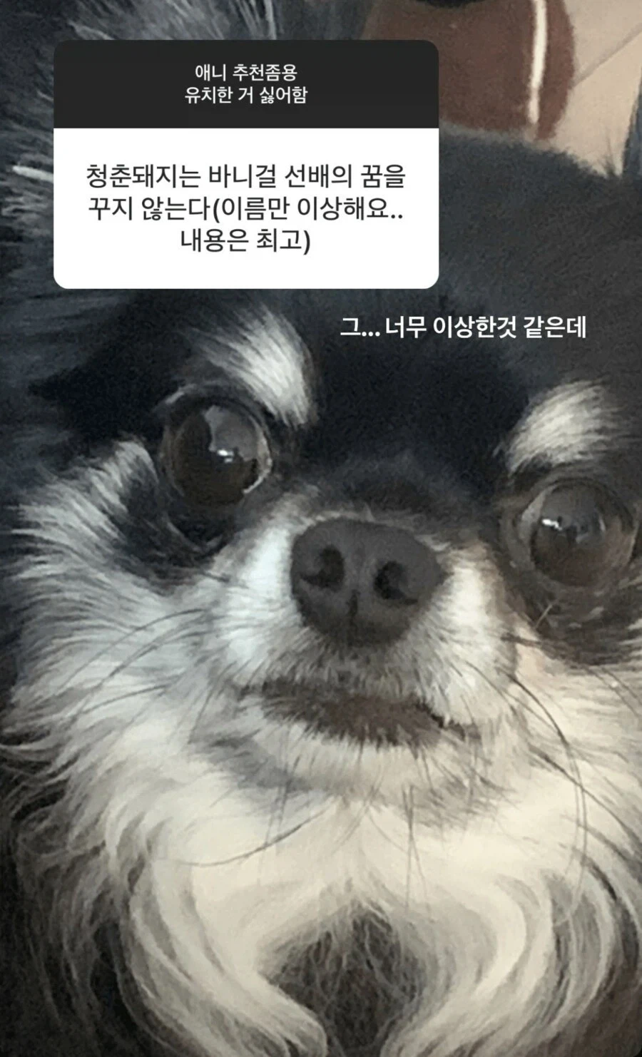 애니 추천 해달라던 러블리즈 서지수의 최후_2.webp