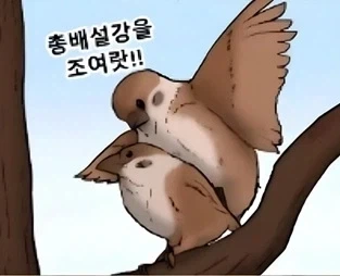 랜덤 야짤_1.webp
