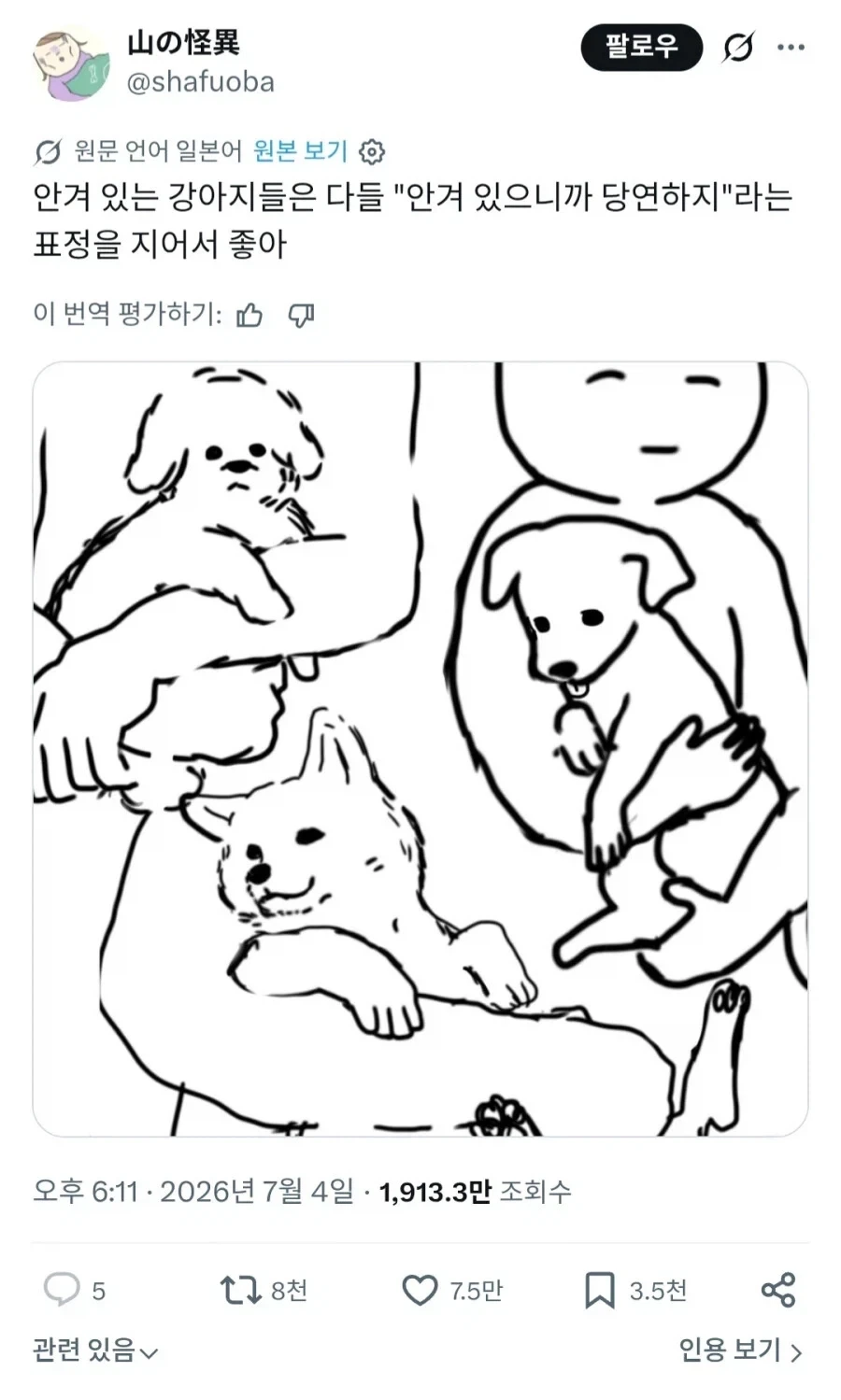 안겨있는걸 당연하다고 여기는 강아지들.JPG_1.webp