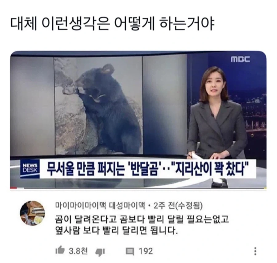 곰이 쫓아올 때 알고 있으면 좋은 거_1.webp
