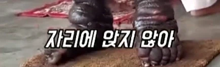 신) ㅁㅊㄴ아 그런거 하지마_3.webp