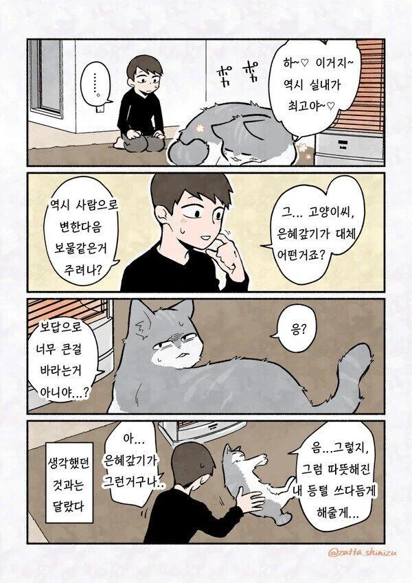 고양이가 은혜갚는 만화_2.jpg