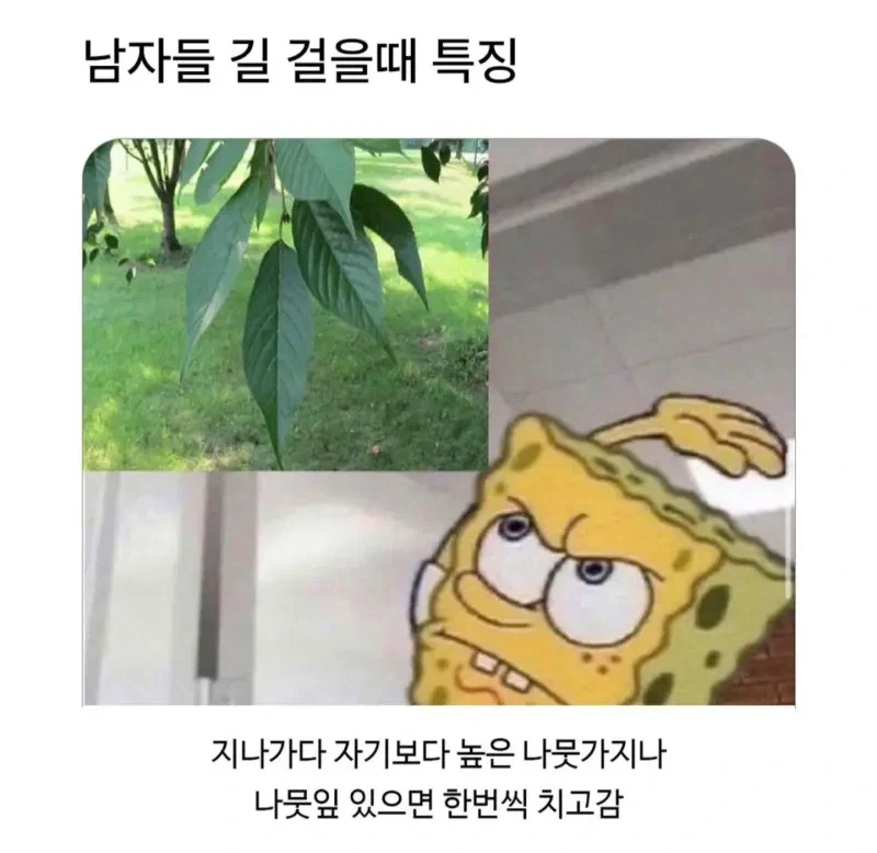 남자들 심심할때 특징_2.webp