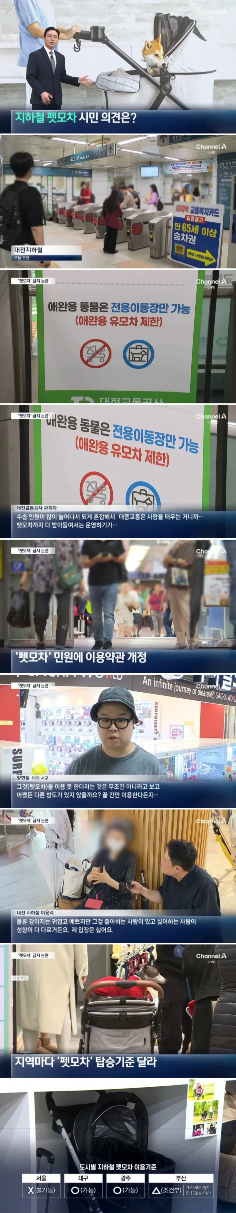 펫모차는 또 무슨 질알이여?_1.webp