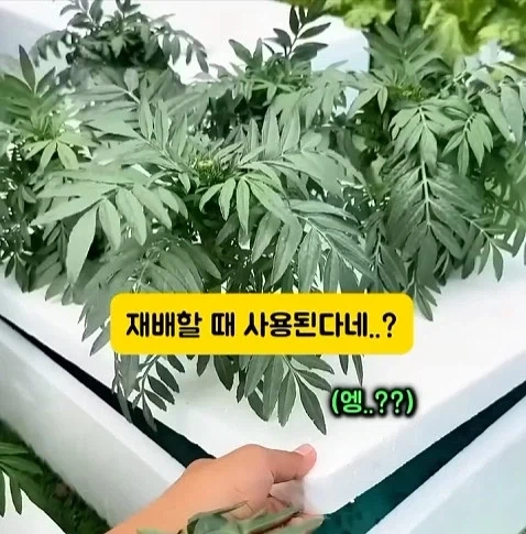 도둑들이 포르셰 눈알만 빼가는 이유_19.webp
