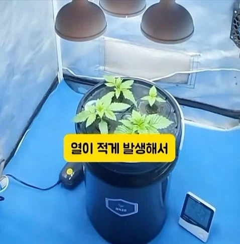 도둑들이 포르셰 눈알만 빼가는 이유_22.webp