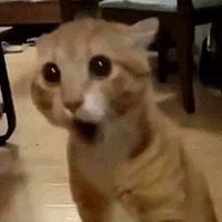 주식) 실적발표후 선반영이라 떨어짐 --하수_1.webp
