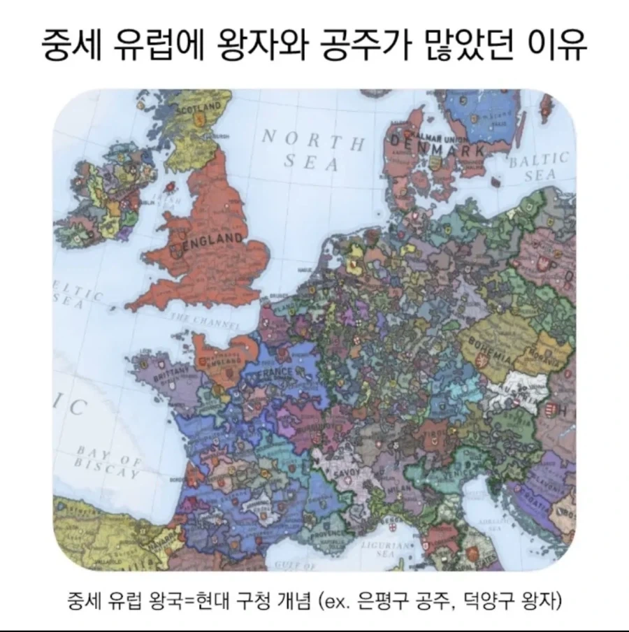 옛날 옛적 중세에 왕자와 공주가 많았던 이유_1.webp