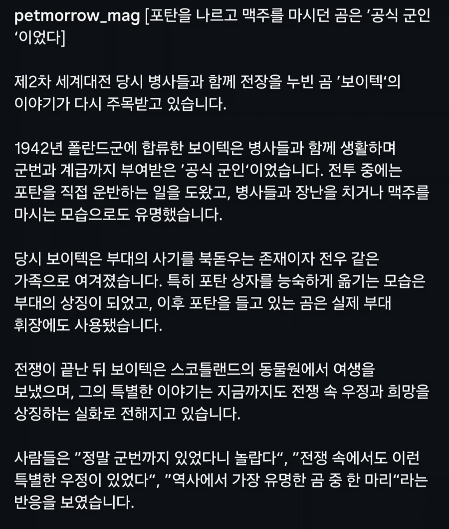 2차대전 공식 군인 곰..._5.webp