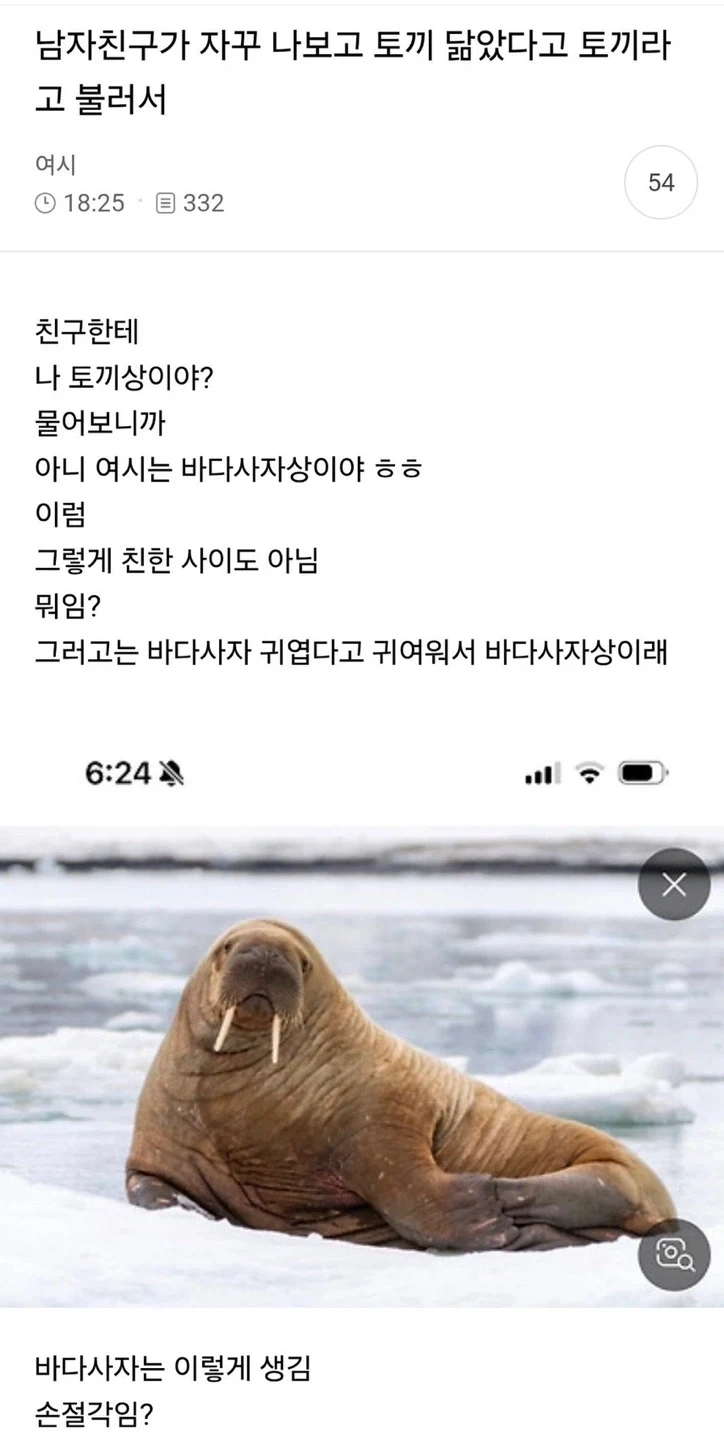남친이 나보고 토끼 닮았다고 토끼라고 부름_1.webp