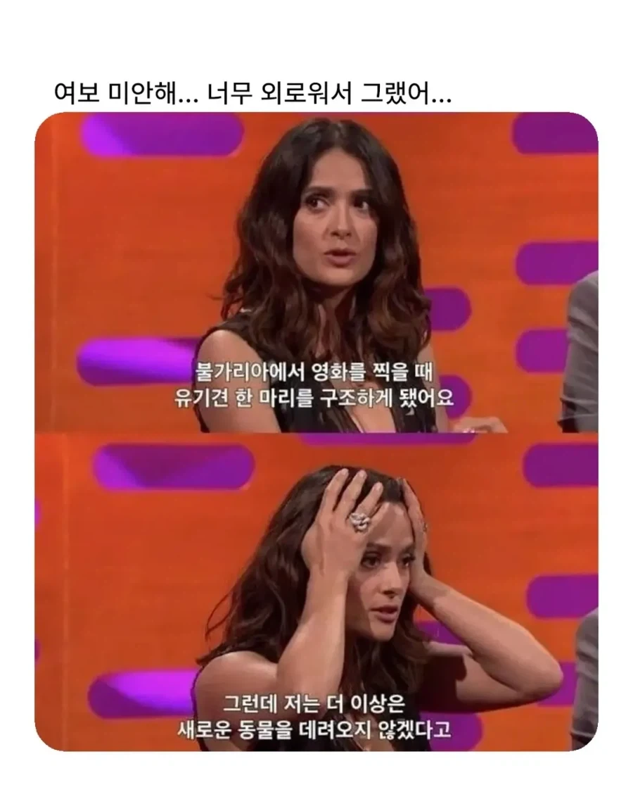 배우자에 대한 무한한 믿음과 확신_1.webp