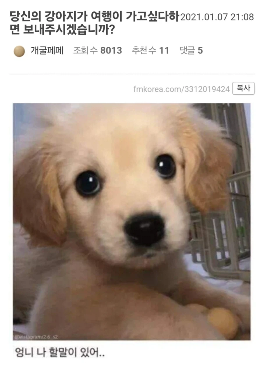 여행간다고 했을때 부모님이 극구 반대하신 이유를 깨달은 사람들_1.webp