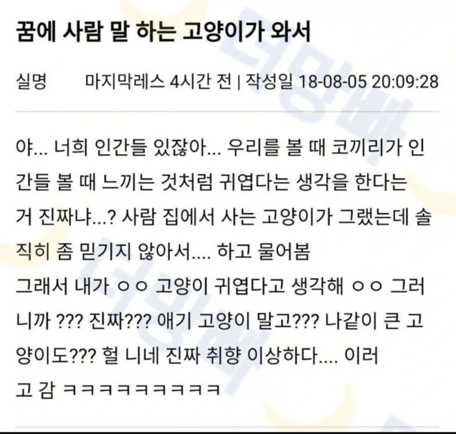 꿈에 사람말 하는 고양이가 와서_1.webp