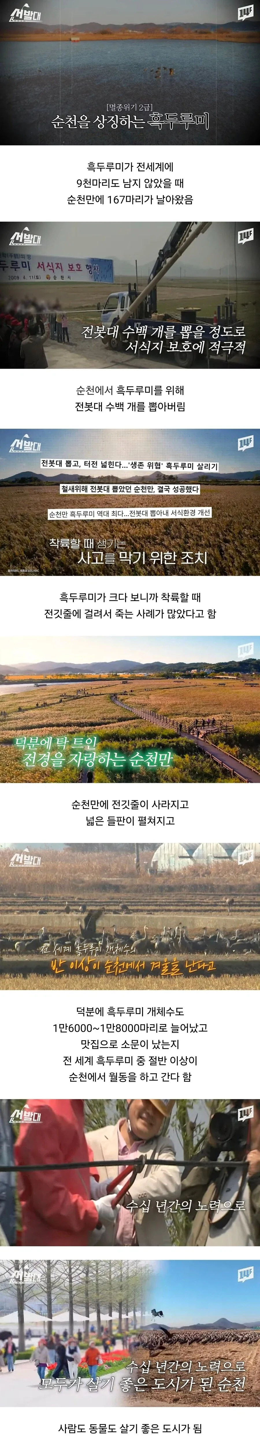 순천이 전봇대 수백 개를 뽑아버린 이유_1.webp