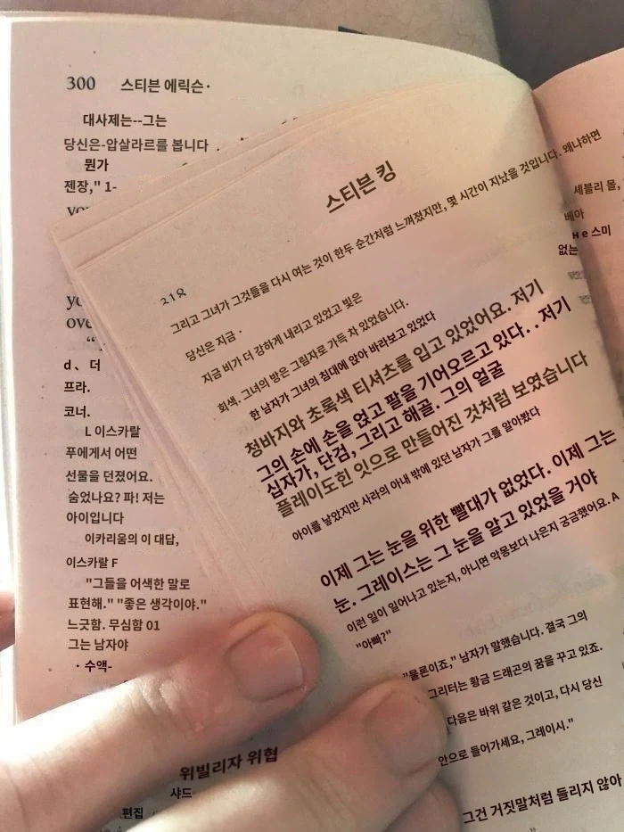 다른 사람 책에 인쇄된 스티븐 킹 소설 한 장_2.webp