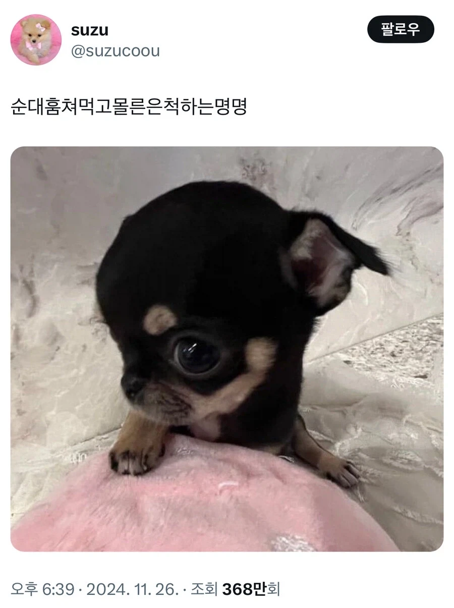 순대 훔쳐먹고 모르는 척 하는 멍뭉이.jpg_1.webp