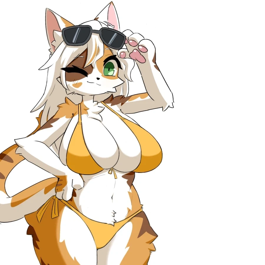 퍼리퍼리야_1.webp