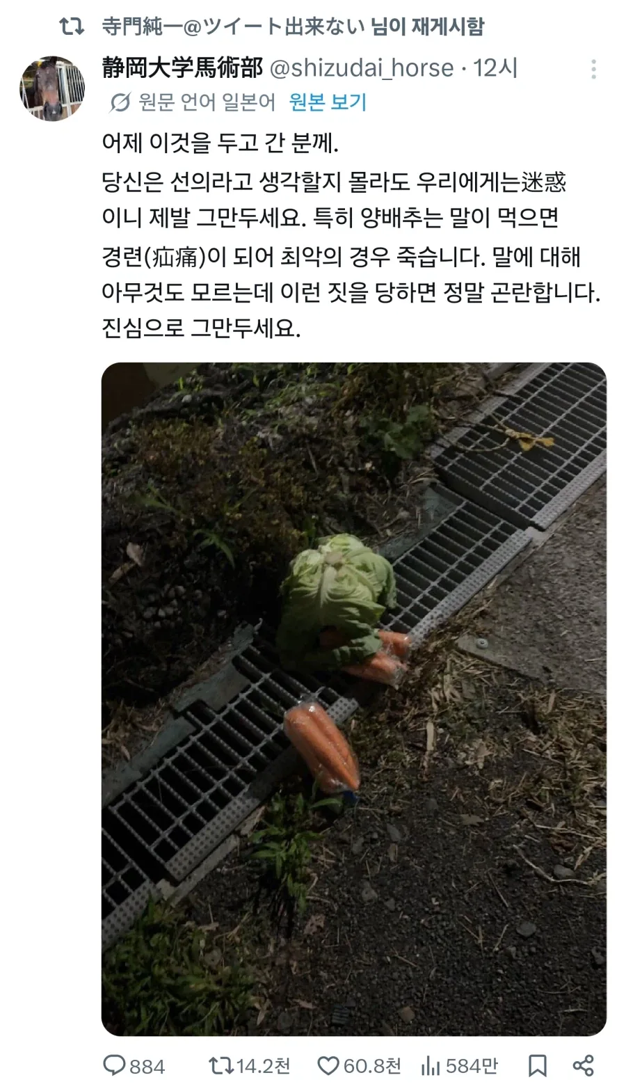 말은 대체 어떤 생물일까_1.webp