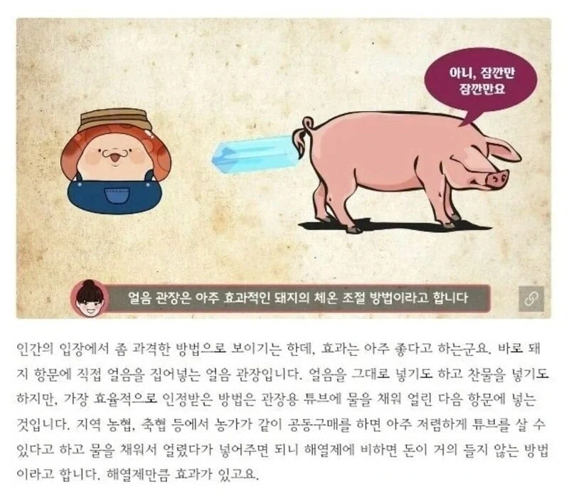 그동안 여름을 시원하게 보낸 방법_1.webp