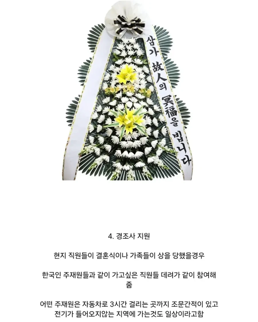 아프리카 세네갈의 국민 기업이 된 한국 기업.jpg_6.webp