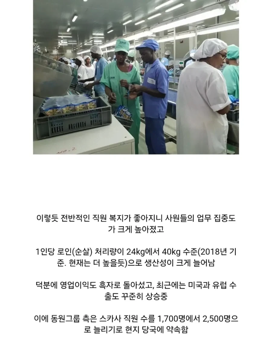 아프리카 세네갈의 국민 기업이 된 한국 기업.jpg_7.webp