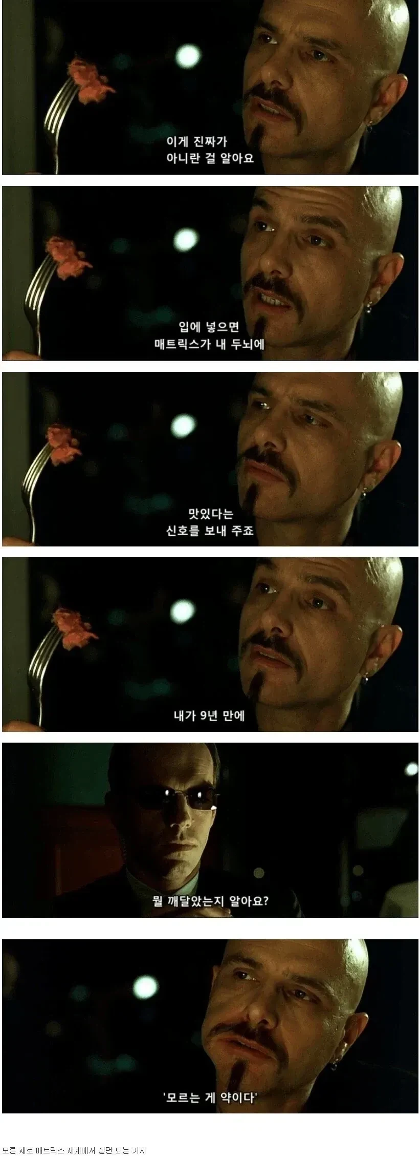 매트릭스의 명장면.jpg_1.webp