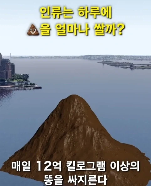 혐) 인류는 1년 동안 똥을 을매나 싸지르나.jpg_1.webp