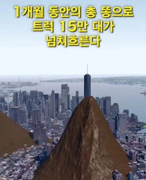 혐) 인류는 1년 동안 똥을 을매나 싸지르나.jpg_2.webp