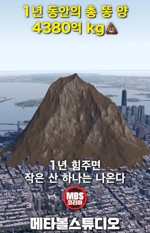 혐) 인류는 1년 동안 똥을 을매나 싸지르나.jpg_3.webp