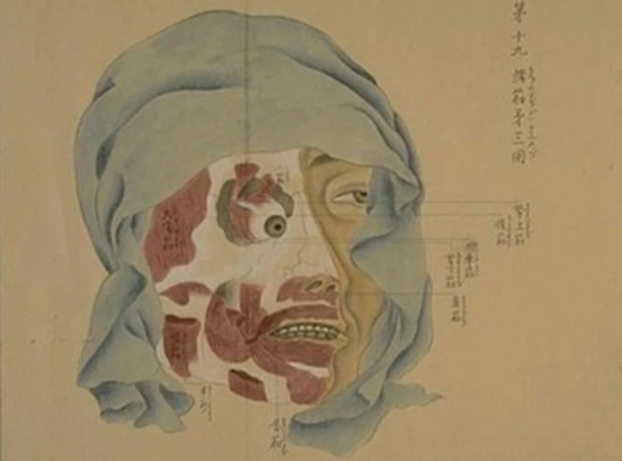 혐)일본 전국시대때 의외로 발달했다는 미술장르_3.webp