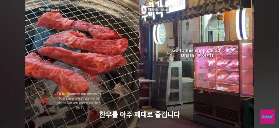 한우 차원달라병_5.webp
