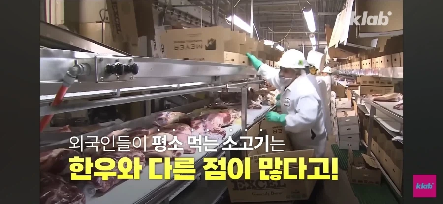 한우 차원달라병_11.webp