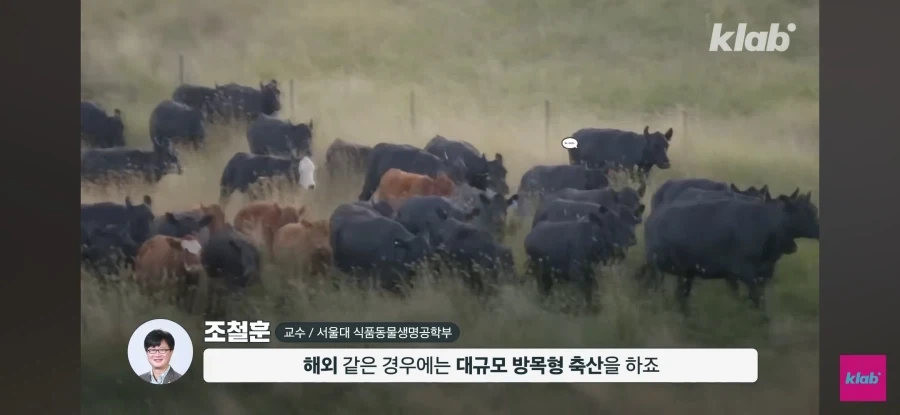 한우 차원달라병_12.webp