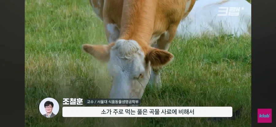 한우 차원달라병_13.webp