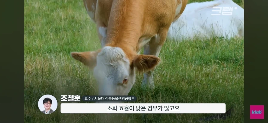 한우 차원달라병_14.webp