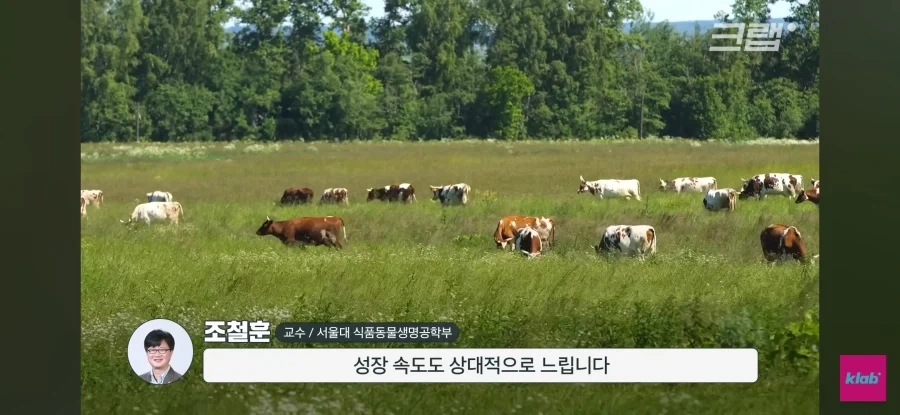 한우 차원달라병_15.webp