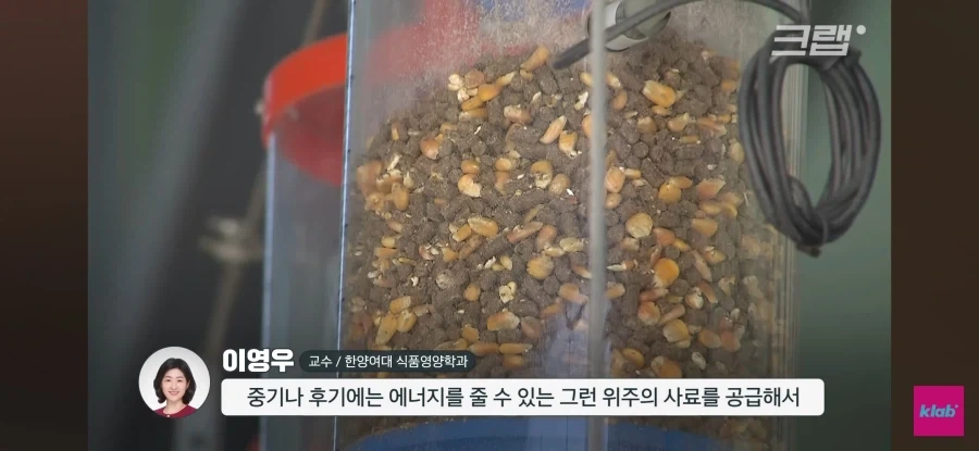 한우 차원달라병_20.webp