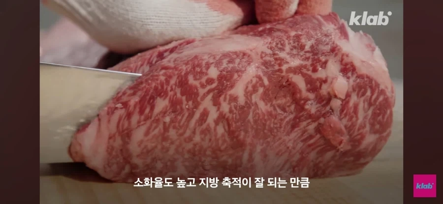 한우 차원달라병_23.webp