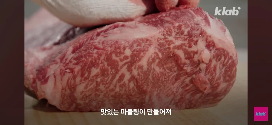 한우 차원달라병_24.webp