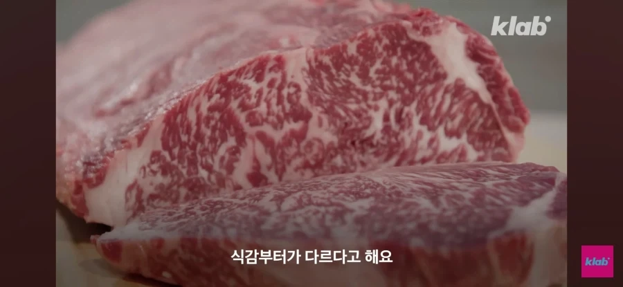 한우 차원달라병_25.webp