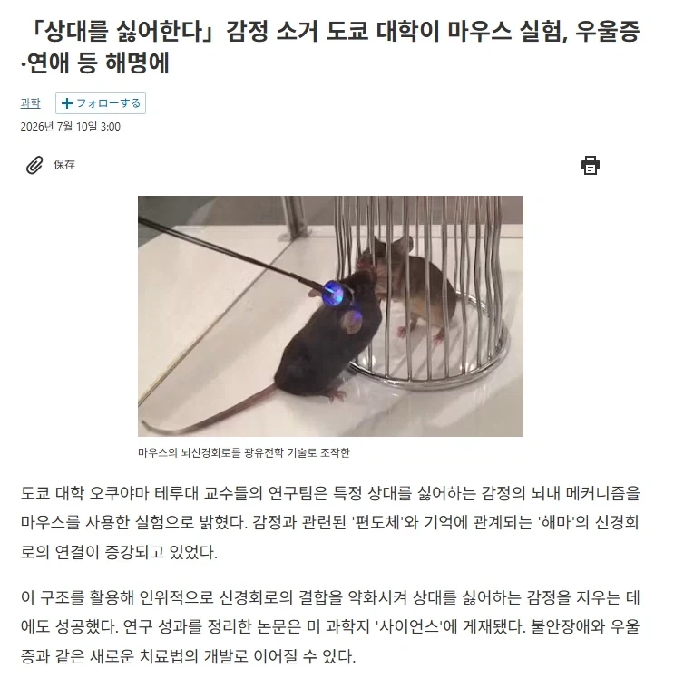 상대를
