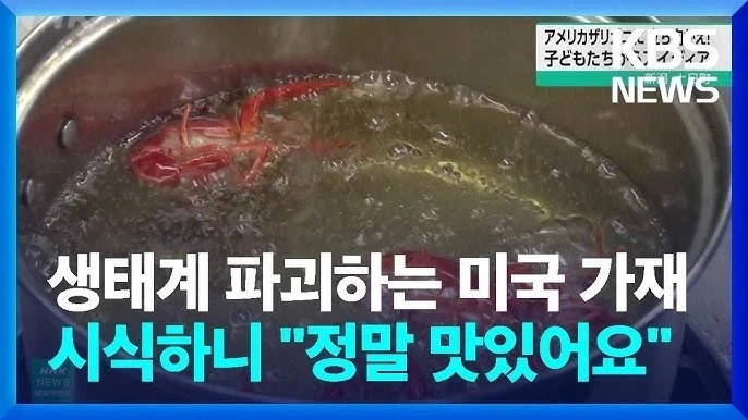 생태계 파괴종 미국 가재_2.webp