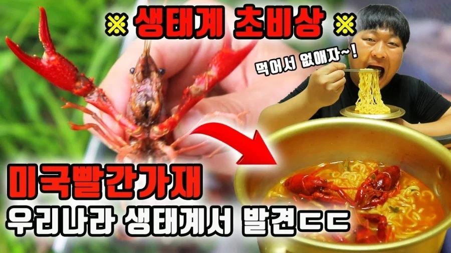 생태계 파괴종 미국 가재_3.webp