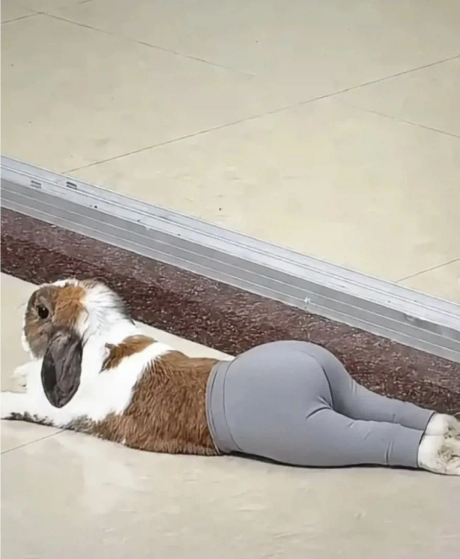 레깅스가 사기템인 이유_2.webp