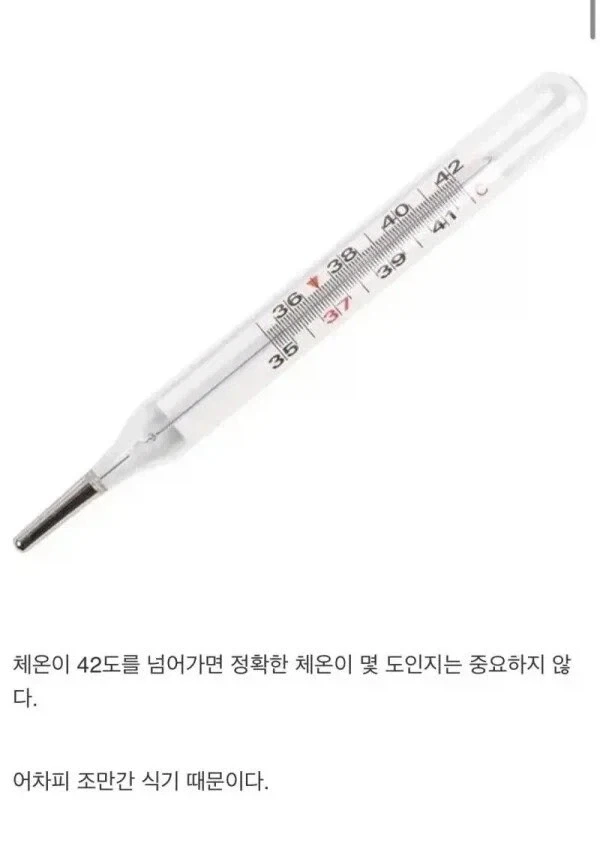 체온계가 42도밖에 못 재는 이유_1.webp