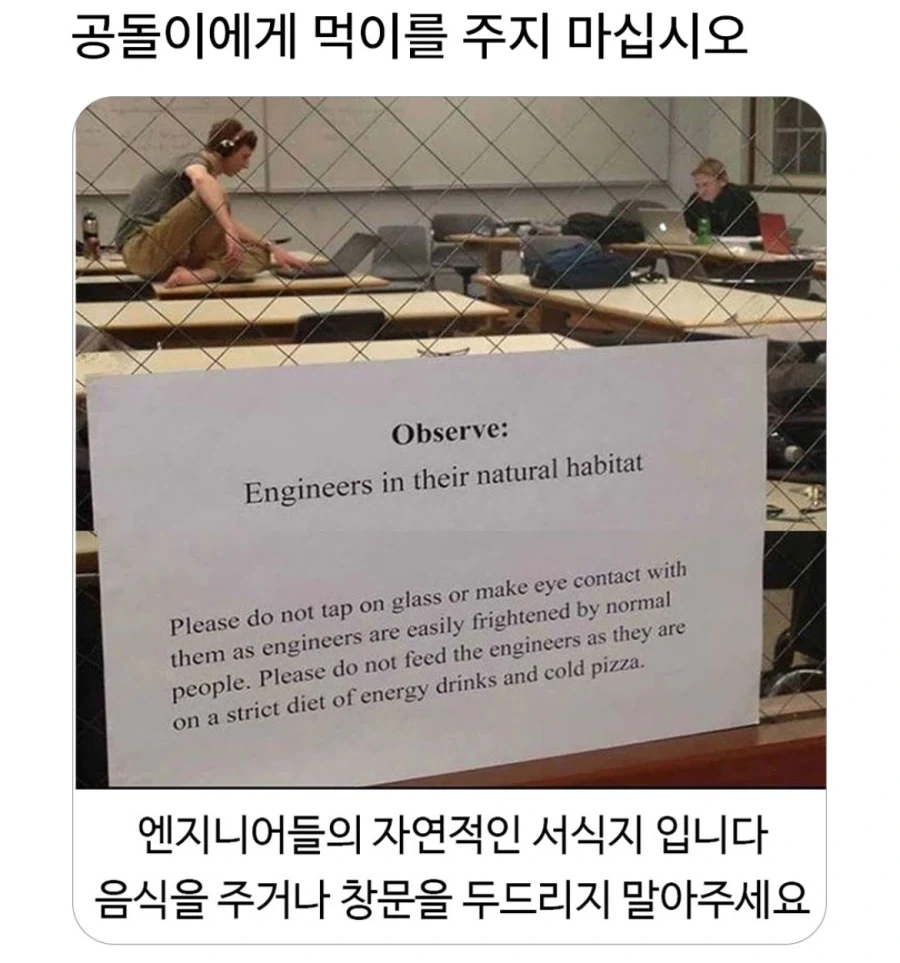 공돌이에게 먹이를 주지 마세요_1.webp