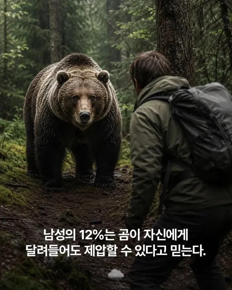 남성의 12%는 곰이 자신에게 달려들어도 제압할 수 있다고 믿는다_1.webp