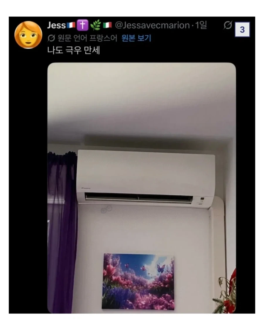 극우가 되면 시원해지는 프랑스.JPG_3.webp