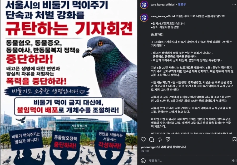 비둘기도 소중한 생명입니다 !!_1.webp