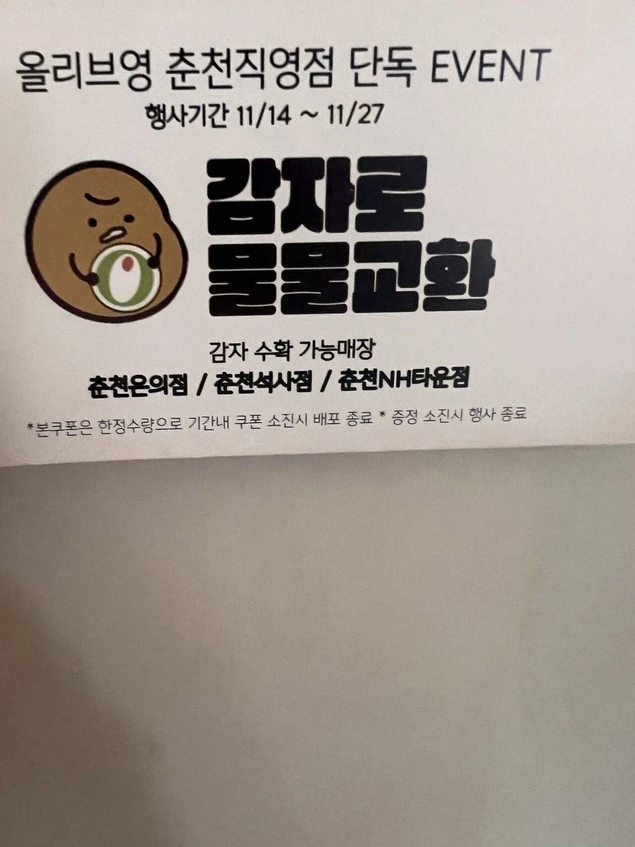 위대한 강원도에는 모든 것이 있습니다._4.webp